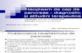 20. Stefan Neoplasm Cefalopancreatic3