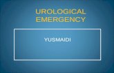 Urological Emergency