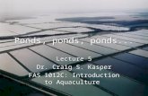 Lecture 15 Ponds