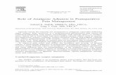 Role of Analgesic Adjuncts in Postoperative