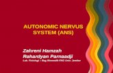 3. Autonomic Nervus System (Ans)