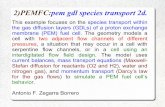 Reporte 2 Pem Gdl Species Transport 2d