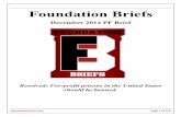 Copy of Foundation Briefs (2)