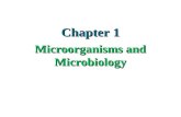 Microorganisms and Microbiology