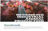 Rethinking Industrial Animal Production
