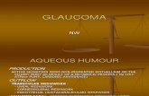 GLAUCOMA (NW).ppt