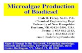 Microalgae Production of Biodiesel