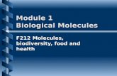 F212 Module 1 Biological Molecules