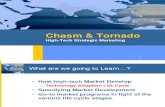 Chasm & Tornado (Slides KM 09042011)