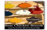 Best Chicken Breeds
