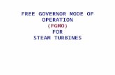Fgmo of Steam Turbines