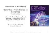 Genetics (Chapter 1- Genetics Intro)