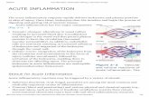 Acute Inflammation _ Robbins Basic Pathology _ Inflammation & Repair