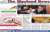 The Wayland News September 2014
