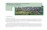 Baguio’s Urban Ecosystem: A Scoping Study