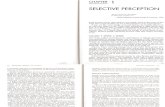 Selective Perception Chapter 1