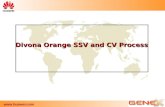 SSV and CV Process_NEW