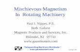 Mischievous Magnetism in Rotating Machinery - Paul Nippes (MPS)