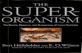 Holldobler - The Superorganism