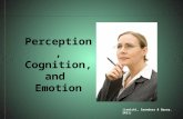Perception, Cognition & Emotion