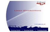 Tribon M3 Training Lines (Production)