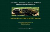 Luciano Taques Ghignone - Manual Ambiental Penal - 2007