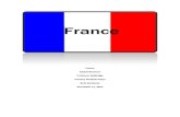 France Research Paper - Global Business