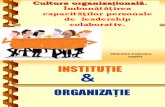 2 Cultura Organizationala