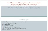 Wildcat Hospital Neonatal Hypoglycemia Policy