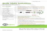 Bulk SMS Solutions DS12 En