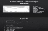 Turkey Economic Landscape Group 3