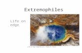 Extremophiles - Rtb 11.3