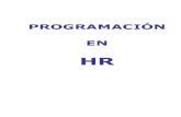 HR - Manual de Programacion en HR
