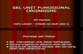 Sel Unit Fungsional Organisme 1
