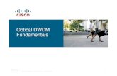 Optical DWDM Fundamentals