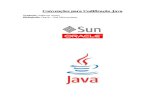 Code Conventions Java Oracle Portugues