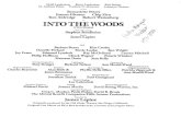 Into the Woods score - voice and piano