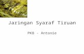 Jaringan Syaraf Tiruan_2