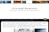 8. Crystal Report