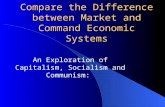 Economic System Soc Cap Mixed Economy