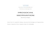 Seminar Paper (TUM) - Prosocial Motivation