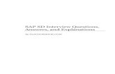 Sap Sd Interview Questions Answers And_explanations_espana_norestriction