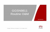 2. Owd600306 Ggsn9811 Routine o&m Issue1.0
