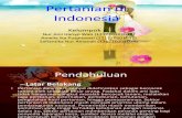 Pertanian Di Indonesia