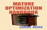 Mature Optimization Handbook