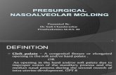 Presurgical Naso Alveolar Molding