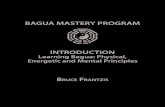 bagua map program