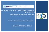 Visual Basic 1