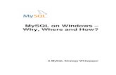 Mysql Wp Windows