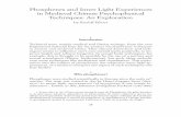 Phosphenes and Inner Light Experiences in Medieval Chinese Psychophysical Techniques - An Exploration (Rudolf Pfister) [2012]